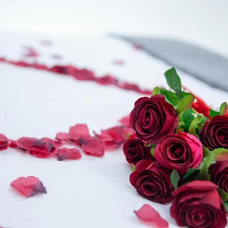 Bed & Breakfast - Il Nido D'amore Roma